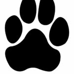 Single puppy paw